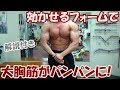 【筋トレ】フライ3種目で大胸筋が強烈にパンプした胸のトレーニング【解説付き】