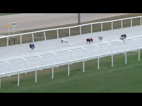 2018.10.28. - agár futam