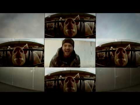 Sie is a Sau   Jack Untawega feat. 500 aka Fick Rick