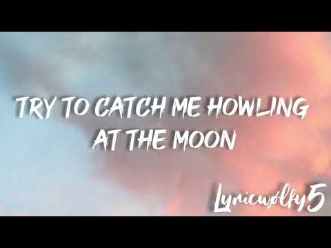 Howling at the moon - D Fine US ft. VIGZ(lyrics)