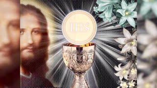 Amores del Alma Lyrics English Translation