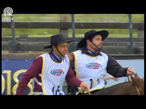 FICCC of Esteio (RS) – 1st and 2nd place females – AM Gaita and Carlota of São Pedro (Proof: Fiel...