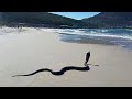 15 Most DANGEROUS Beaches In The World