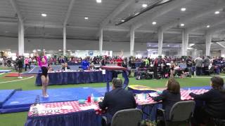 Vault Ell Chemotti, MI-Van Buren L9 R5 Regionals