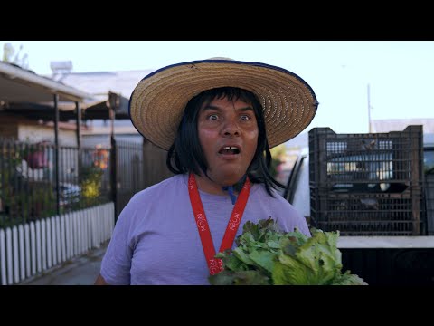 TEJANOS DE RAUCO - MUJERIEGO (VIDEO OFICIAL)