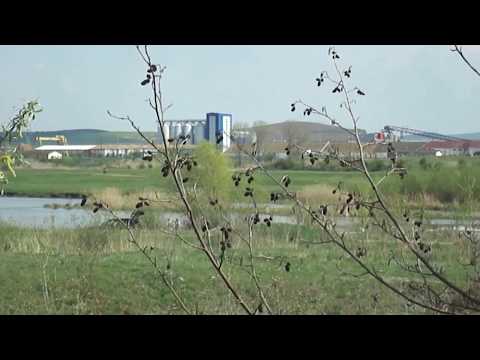 Lacurile din Lunca Muresului la Sântioana de Mureş