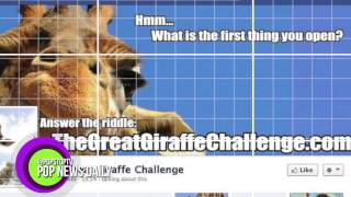 Giraffe Riddle Takes Over Facebook!