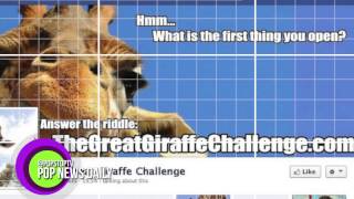 Giraffe Riddle Takes Over Facebook!