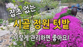 잡초 없는시골 정원 텃밭 풀관리는 이렇게! 텃밭 과일나무 화초 예쁘고 깔끔하게 관리하는 방법