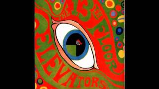 13th Floor Elevators   Roller Coaster