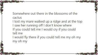 Laura Veirs - Orphan Mae Lyrics