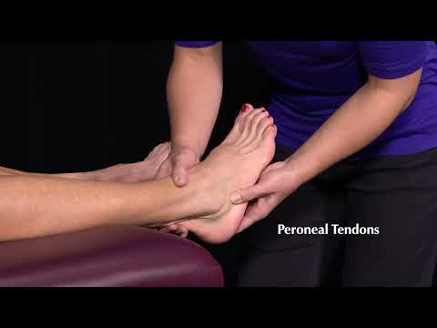 Foot and Ankle Examination