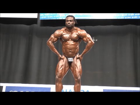 Famous Isiesi (IRL), NABBA Universe 2013