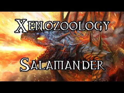 Xenozoology: Salamander - 40K Theories
