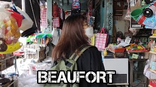 What is so special about this town [BEAUFORT 1 day trip]