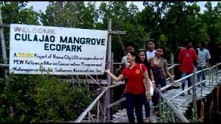 preview picture of video 'culajao,roxas city mangrove ecopark trip - part 2'