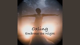 Embrace the Night