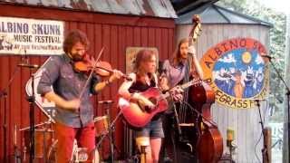 The Stray Birds at Albino Skunk 2013 -- Adelaide