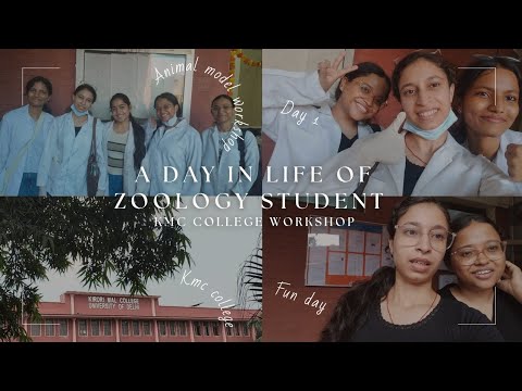 A day in life of zoology student animal model workshop kmc college day 1