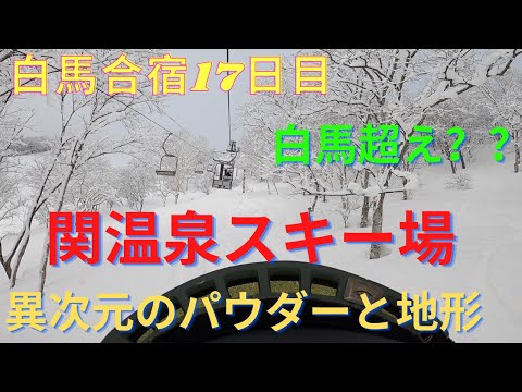 【白馬１７日目、関温泉スキー場でパウダーでスノボー】