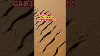 Download lagu BAHAYA GARIS-GARIS DI PADANG PASIR! #shorts mp3