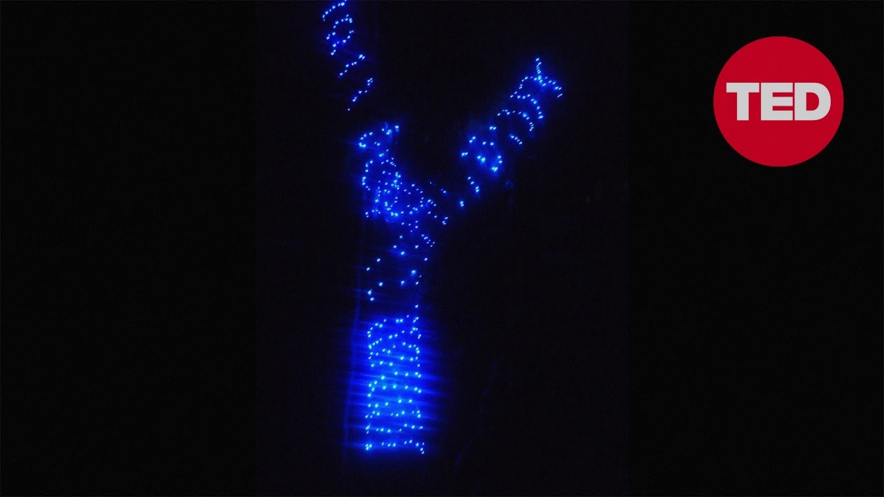 Jose Miguel Sokoloff: How we used Christmas lights to fight a war | TED