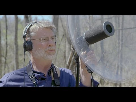 How To Record Audio  - The Basics