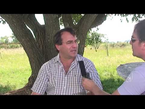 Colonia Las Delicias - Paysandú