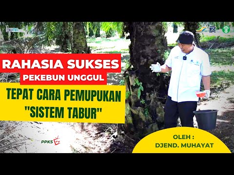 The Secret to Successful Fertilization "Sowing System" | By: Djend. Muhayat