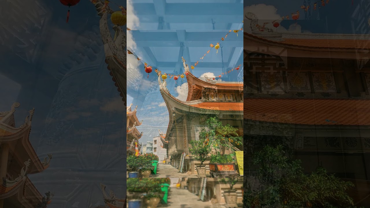 YouTube Short thumbnail