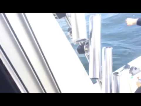 Uistelulohen nosto käsin