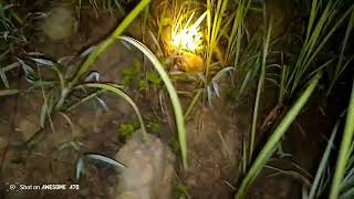 ຫຼັງຈາກສ້ອມພາເຈົ້າ DRAGONS 09 ອອກລ່າ