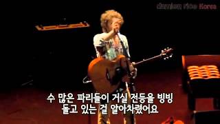 데미안 라이스 - Amie 에 관한 이야기(Damien Rice - The story about Amie)