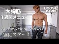 視聴者待望の大胸筋トレ１週間プログラムが遂にスタート！【１日目BOOST CAMP!】