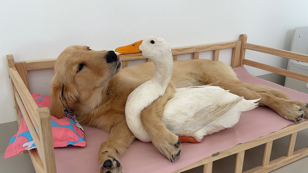 Wreszcie lekki powiew... nadziei ?