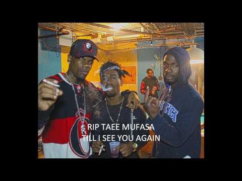 SkiLLz - Till I see you again ( Taee Mufasa Tribute )
