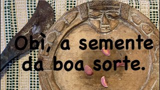 Obì, a semente da boa sorte.