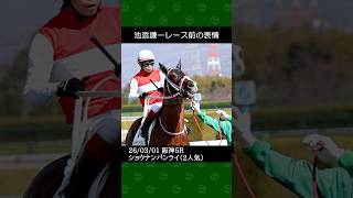 [2026/03/01] 池添謙一騎手の2番人気ショウナンバンライが勝利～阪神競馬5レース #池添謙一 #競馬 #shorts