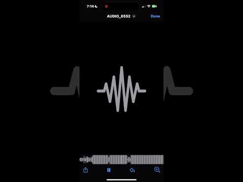 Relly gunz - lay low