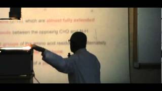 Dr.Rasheed [Proteins] 08/12/2013