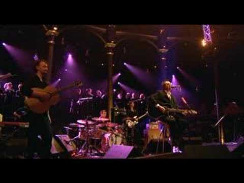 Ray Davies - Dedicated Follower Of Fashion