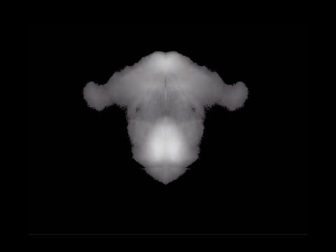 Entropy Reduction - Figures Sonores - Teaser