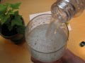 Bad Liebenwerda Mineralquellen Limo Zitrone Lemon