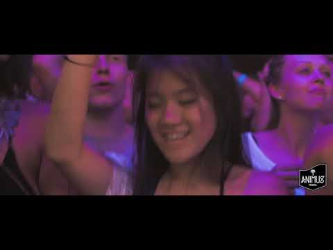 Spring Break Kroatien 🎉 Novalja Kroatien Partyurlaub mit Animus Travel 🏴