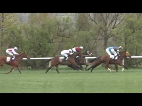 MI, 16. 4. 2017, 2. dostih - Cena hotelu VALAŠKA