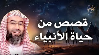 صورة نبيل العوضي | قصص من حياة الأنبياء كما لم تسمعها من قبل | بث مباشر