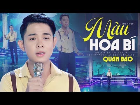 Màu Hoa Bí - Quân Bảo | Lòng Buồn Man Mác Khi Nghe Bài Hát Này