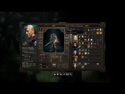 Let's Quest - Pillars of Eternity - Part 181 - Iovara's Persistance