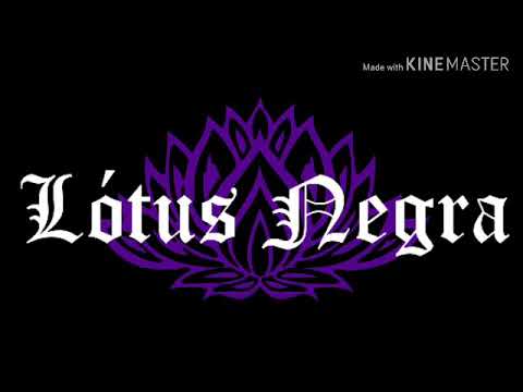 Lótus Negra 4 Anos