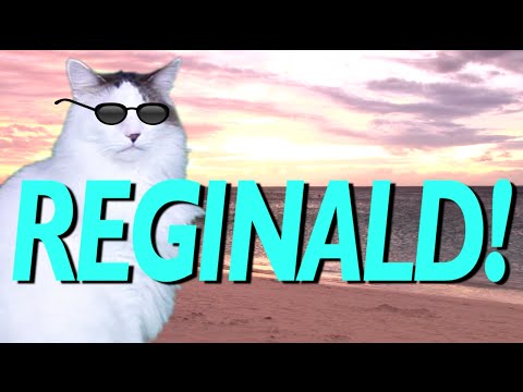 HAPPY BIRTHDAY REGINALD! - EPIC CAT Happy Birthday Song